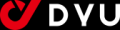 DYU Ebike DYU Ebike