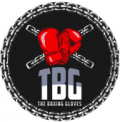 The Boxing Gloves The Boxing Gloves