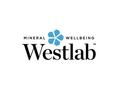 Westlab Salts voucher codes