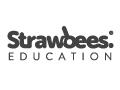 Current and up to date Stawbees Logo