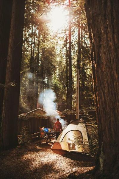 Woodland Camping Image
