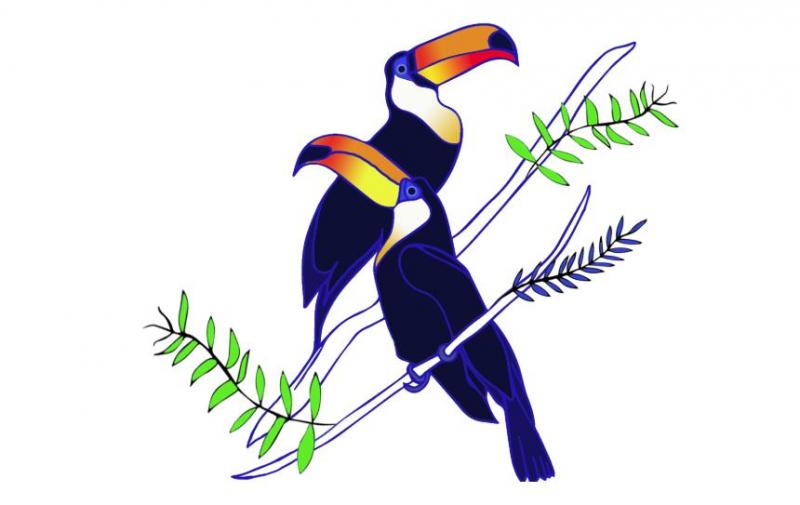 Toucan Employment Logo
