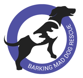 Barking Mad Dog Rescue Logo