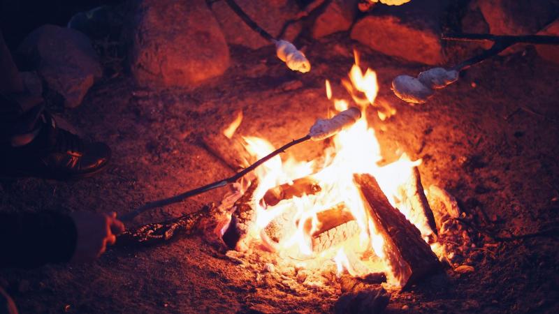 Toasting Marshmallows on Campfire