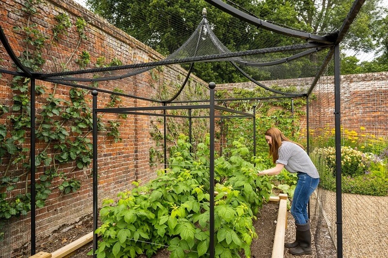 Fruit Cage