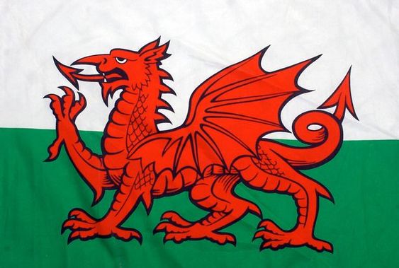 Welsh Flag - Voted Coolest on the Planet