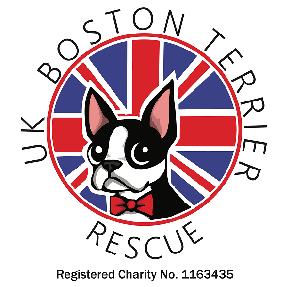 UK Boston Terrier Rescue logo