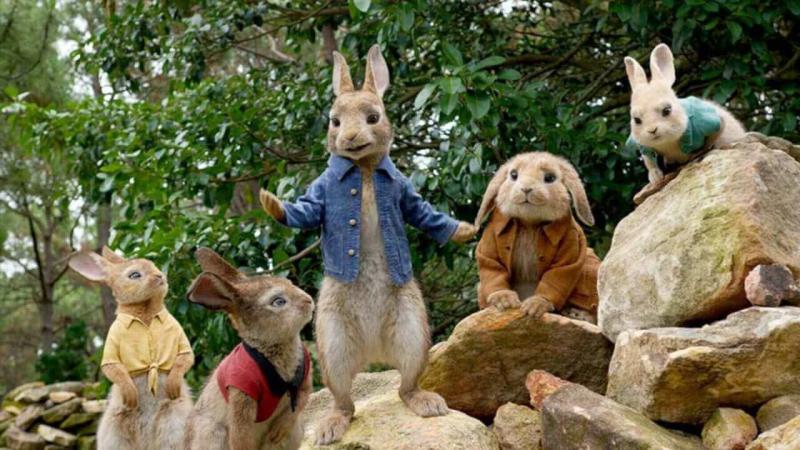Peter Rabbit Movie Image