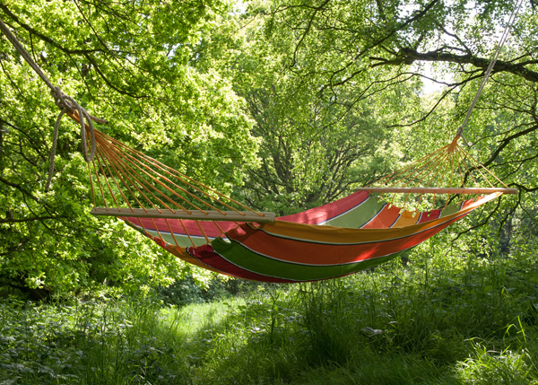 Swing Hammock Seat - Waitrose Garden