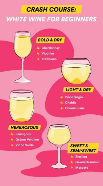 White Wine for Beginners