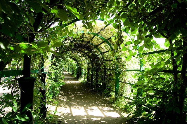 garden pergola