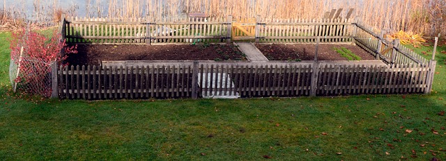 Allotment ready for planting