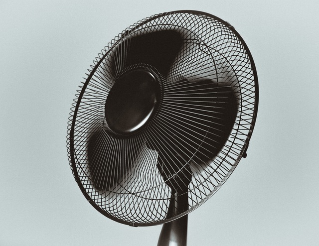 Pedestal fan