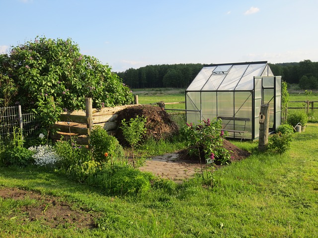 Allotment with greenhouse