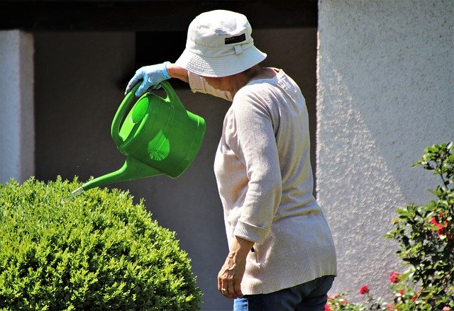 watering the garden