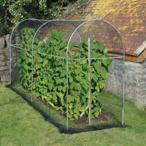 Agriframes long kitchen garden fruit cage