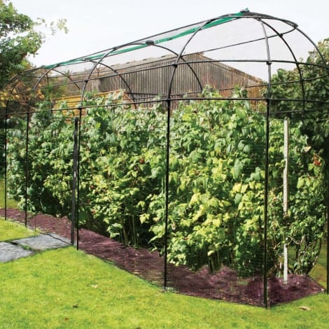 Agriframes narrow walk in fruit cage