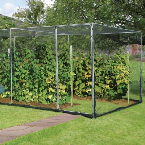 Agriframes basic fruit cage