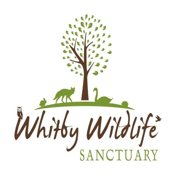 whitby wildlife sanctuary