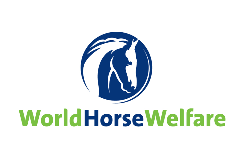 world horse welfare