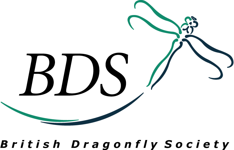 British Dragonfly Society Logo
