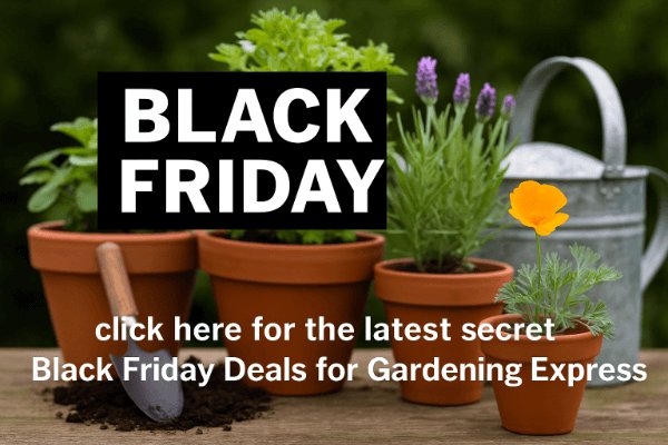 gardening express black friday