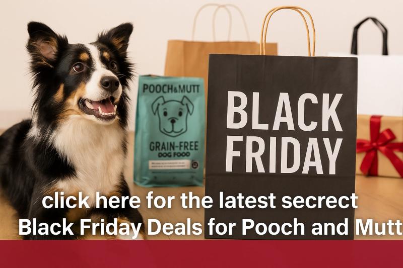 pooch and mutt black friday