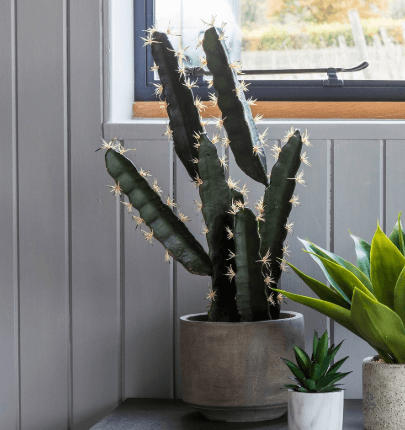 Faux Plants are a Great Low Maintenance Option